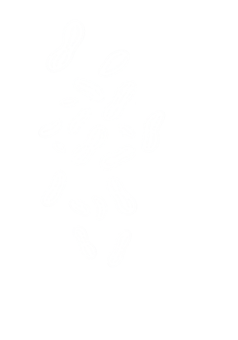 https://zoomer.oghabhalva.com/wp-content/uploads/2025/09/بادام-زمینی-23.png