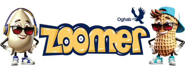 https://zoomer.oghabhalva.com/wp-content/uploads/2025/10/Untitled-2-640x258.png